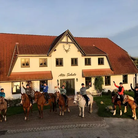 Daenholm - Alte Schule Barlin Dargun